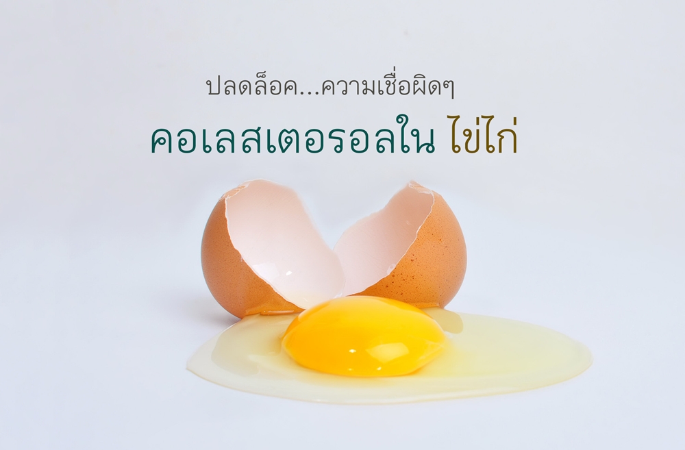 ปลดล็อคความเชื่อ คอเลสเตอรอลในไข่ไก่ thaihealth