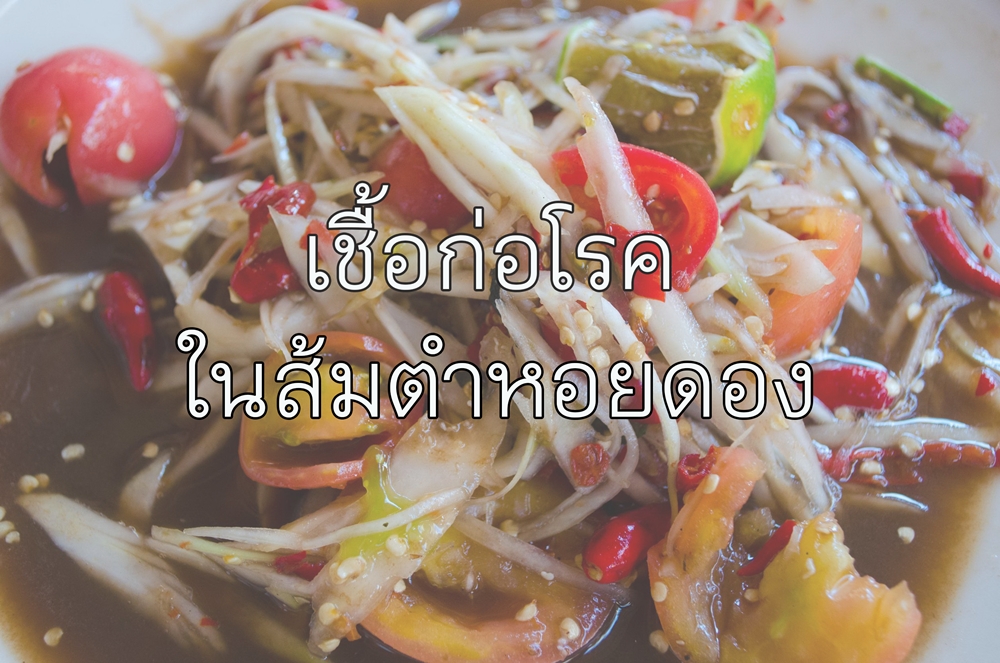 เชื้อก่อโรคในส้มตำหอยดอง thaihealth