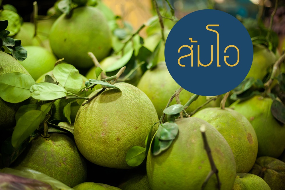 เรื่องน่ารู้ : ส้มโอ thaihealth
