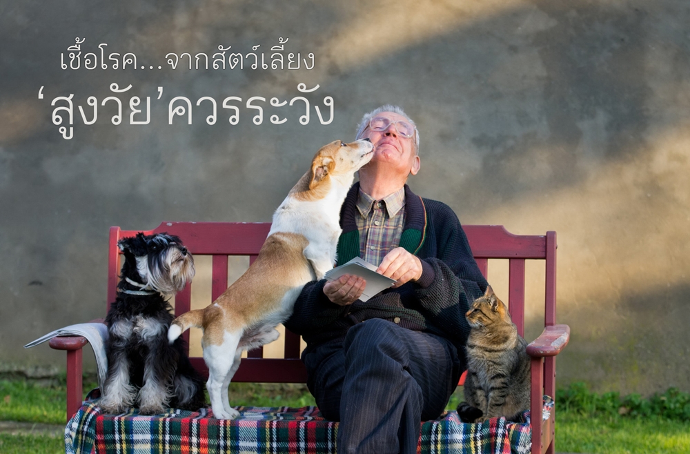 เชื้อโรคจากสัตว์เลี้ยง สูงวัยควรระวัง thaihealth