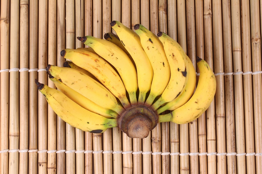 เรื่องน่ารู้: กล้วยเล็บมือนาง thaihealth