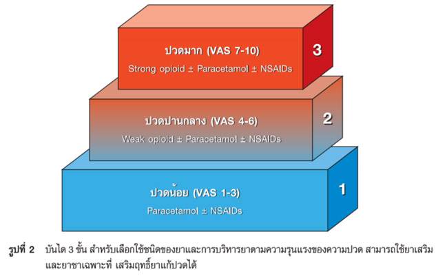 แพ้ยาพารา จะกินยาอะไรแก้ปวดดี thaihealth