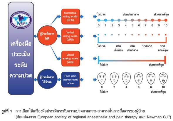 แพ้ยาพารา จะกินยาอะไรแก้ปวดดี thaihealth