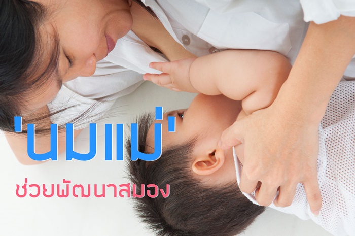 ‘นมแม่’ ช่วยพัฒนาสมอง thaihealth