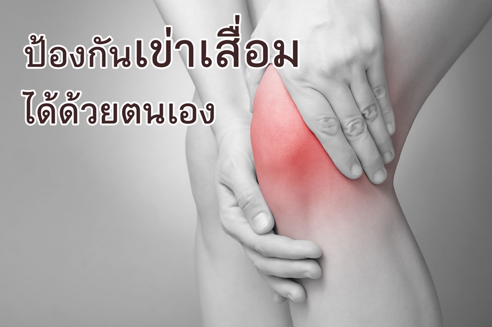 ป้องกันเข่าเสื่อมได้ด้วยตนเอง thaihealth