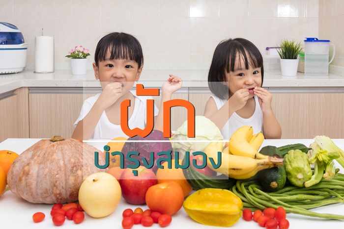 ผักบำรุงสมอง thaihealth