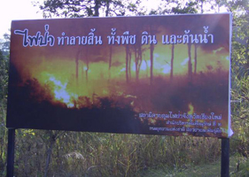 นักวิจัยชี้ช่องเกษตรทางเลือก ลดหมอกควัน เชียงใหม่