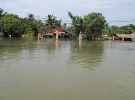 สสส.ปันน้ำใจช่วยผู้ประสบภัยน้ำท่วม “ชัยนาท”