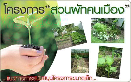 สวนผัก