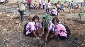 อุ้มผางวิทยาคม จ.ตาก ตามรอยพ่อหลวง ปลูกฝัง “เกษตรทฤษฎีใหม่” สู่เยาวชน  