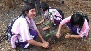 อุ้มผางวิทยาคม จ.ตาก ตามรอยพ่อหลวง ปลูกฝัง “เกษตรทฤษฎีใหม่” สู่เยาวชน  