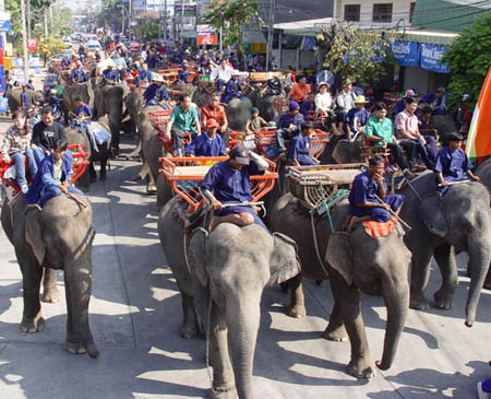 งานช้างปลอดเหล้า ประชาเที่ยวปลอดภัย