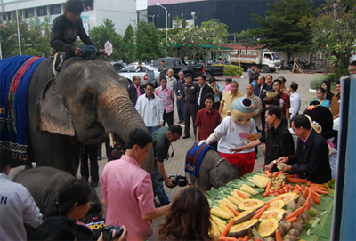 แถลงข่าว…งานช้างและงานกาชาดสุรินทร์ปลอดเหล้า