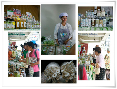 มาแล้ว… “ตลาดสีเขียวโรงพยาบาลบางโพ”