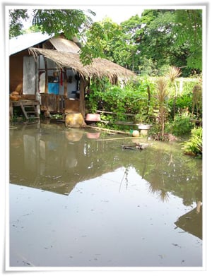 สสส.เสริมชุมชนฟื้นฟูลำห้วยคะคาง-ห้วยยาง