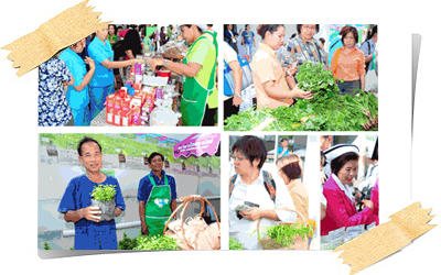 สู่เส้นทางตลาดนัดสีเขียวโรงพยาบาลบางโพ