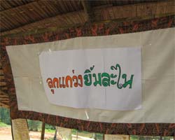 ประมวลภาพงานดนตรีสร้างสุขปี 2