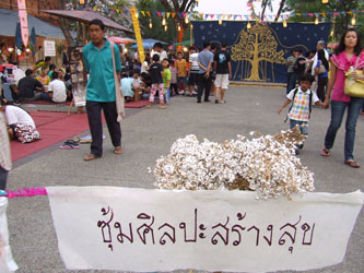 ประมวลภาพเทศกาลล้านนาดนตรีสร้างสุข “ละอ่อนบรรเลง ระมิงค์ขับขาน” วันอาทิตย์ที่ 22 มีนาคม 52 จ.เชียงใหม่
