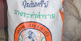ปุ๋ยอินทรีย์บางระกำ วิชาใดไหนเล่า จะเทียบเท่าภูมิปัญหา