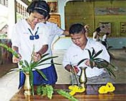 ดาวเรืองสดใส ในร.ร.วัดหัวกระสังข์