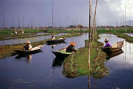 เรื่องเล่าวิถีเกษตรของชาวน้ำ แห่งทะเลสาบอินเล