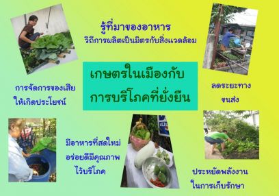 เกษตรในเมืองกับวิถีการบริโภคที่ยั่งยืน