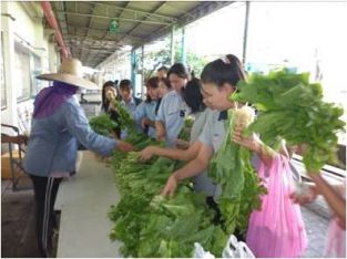 เกษตรในเมืองกับวิถีการบริโภคที่ยั่งยืน