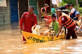 สสส.ชี้ชุมชนคือคำตอบให้ผ่านพ้นภัยพิบัติน้ำท่วม