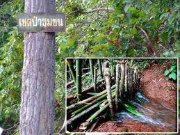 ตามไปดู “บ้านหนองโรง” ชุมชนต้นแบบ เข้มแข็งจากฐานราก