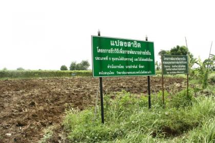 ชาวทับพริก ใช้เกษตรอินทรีย์เสริมสุขภาวะ สร้างภูมิคุ้มกันชุมชน