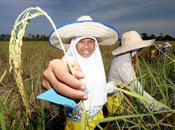 สุขแท้ด้วยปัญญา ณ สงขลา