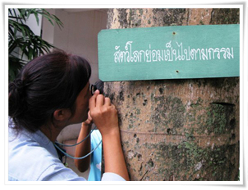 นักสืบสายลม คู่มือสำรวจไลเคนกรุงเทพฯ