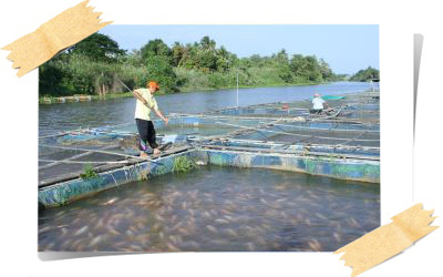 สสส.หนุน “แม่น้ำสุขภาพดี” ที่ปราจีนบุรี