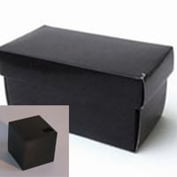 “Black Box” กล่องดำบ่มความคิด