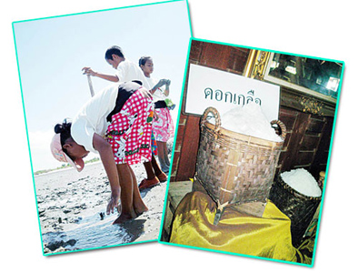 ตามรอยชาวนาบางแก้ว แหล่งชุมชนคน 3 นา