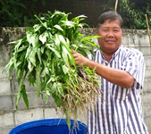 สันติ ภู่ด้วง