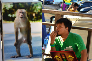 เก่ง-โชคนิธิ คงชุ่ม