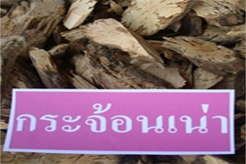 กระจ้อนเน่า 