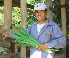 อนันต์ ดวงแก้วเรือน 