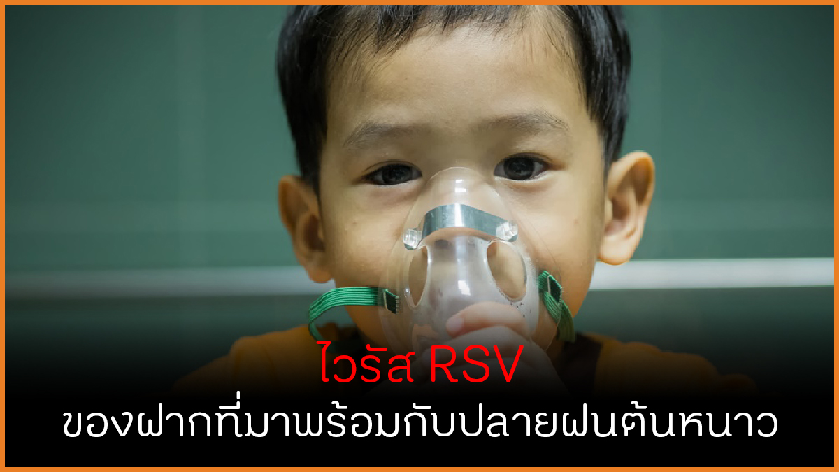  thaihealth