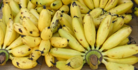ผักผลไม้รวมทั้งกล้วยไข่คุณค่าเพียบ ป้องกันมะเร็ง กินต่อเนื่องเป็นผลดี