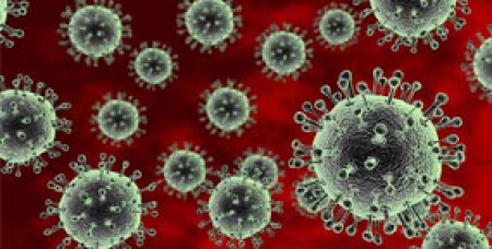 ตื่นตัวแต่ไม่ตื่นตระหนก รับมือหวัดนกสายพันธุ์ H7N9 จากสถานการณ์ที่มีการยืนยันการระบาดของโรคไข้หวัดนกเอช 7 เอ็น 9 (H7N9) ที่สาธารณรัฐประชาชนจีน โดยพบว่าเป็นครั้งแรกที่หวัดนกสายพันธุ์ H7N9 ทำให้มนุษย์เสียชีวิต  ซึ่งขณะนี้ในจีนมีทั้งผู้ป่วยที่เสียชีวิตแล้ว   กำลังรักษาพยาบาลอยู่  และรักษาหายแล้ว 