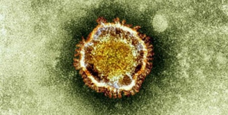 WHO เตือนสาธารณสุขทั่วโลกเฝ้าระวัง “ไวรัสคล้ายซาร์ส” ฮูเตือนทุกประเทศควรเฝ้าระวังการติดเชื้อโคโรนาไวรัสตะวันออกกลาง ซึ่งมีโอกาสแพร่กระจายจนอาจถึงขั้นเป็น “โรคระบาด”
