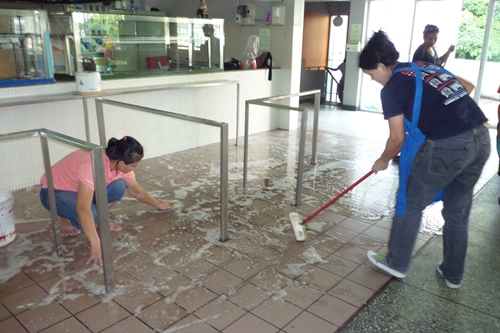 à¸à¸¥à¸à¸²à¸£à¸à¹à¸à¸«à¸²à¸£à¸¹à¸à¸ à¸²à¸à¸ªà¸³à¸«à¸£à¸±à¸ à¸à¸§à¸²à¸¡à¸ªà¸°à¸­à¸²à¸à¸à¸·à¹à¸à¸à¸à¸£à¸±à¸§