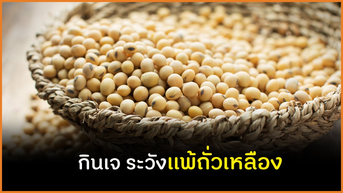 กินเจ ระวังแพ้ถั่วเหลือง thaihealth