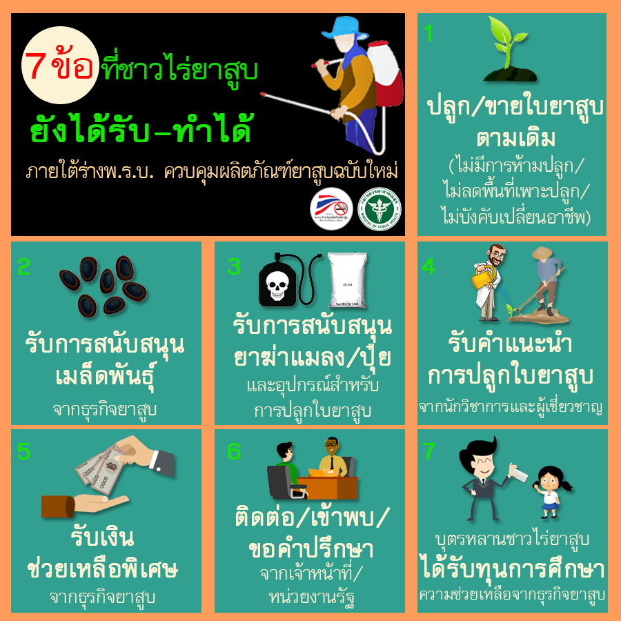 7 ข้อที่ชาวไร่ยาสูบ ยังได้รับ-ทำได้ thaihealth