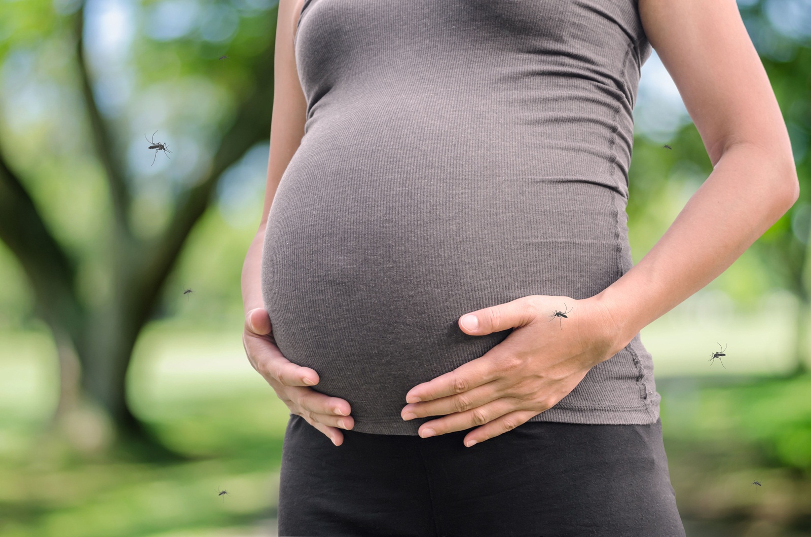 เฝ้าระวัง“ซิกา”เน้นเด็ก-หญิงมีครรภ์ thaihealth