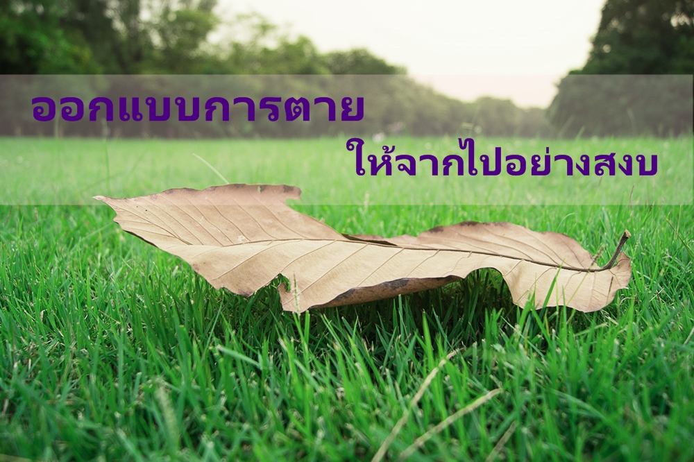 ออกแบบการตาย ให้จากไปอย่างสงบ thaihealth