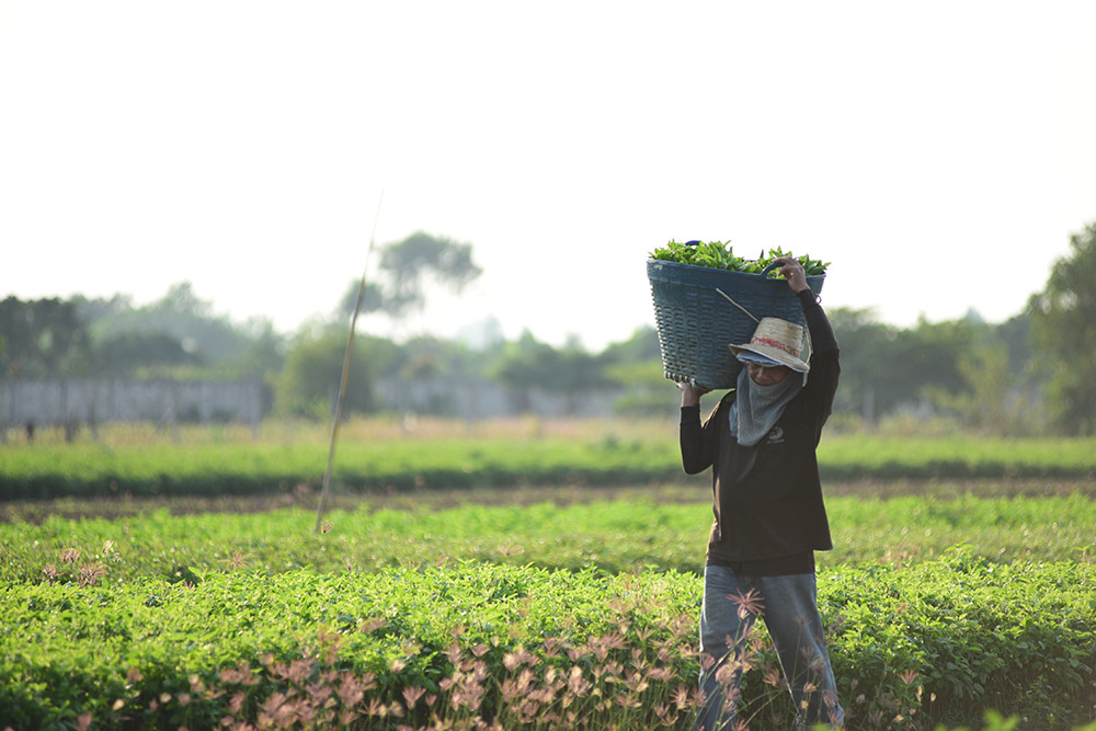 'ไบไซเคิลทัวร์' ปลูกจิตอาสาให้เยาวชน thaihealth