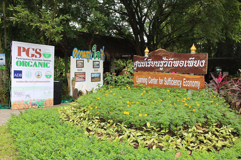 หยั่งราก ผลิใบ 'สามพรานโมเดล' thaihealth